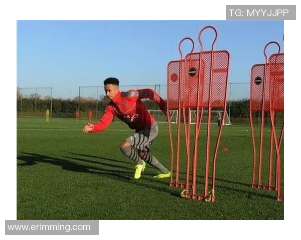 蚂蚁咿呀嘿足球明星的成长之路与梦想追逐的精彩故事