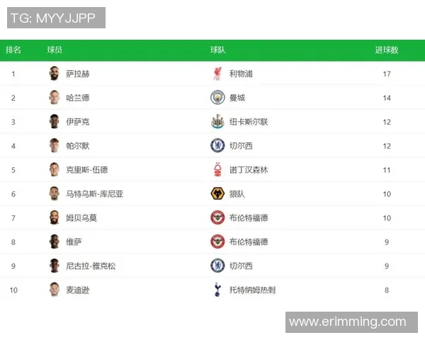 英超赛季新星崛起足球明星名单全解析与前景展望