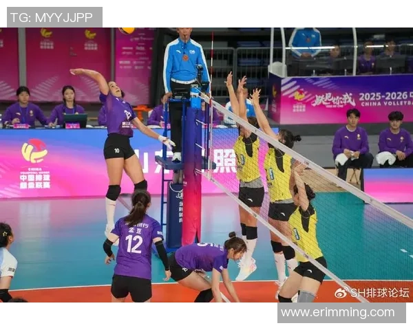 重庆排球队展现速度优势联赛表现引发关注与期待